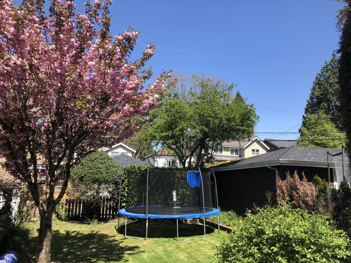 Bed and Breakfast The Sunshine House-Free Parking Vancouver Esterno foto